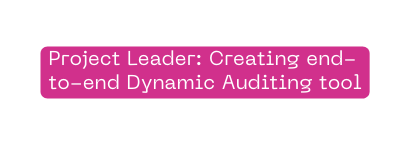 Project Leader Creating end to end Dynamic Auditing tool